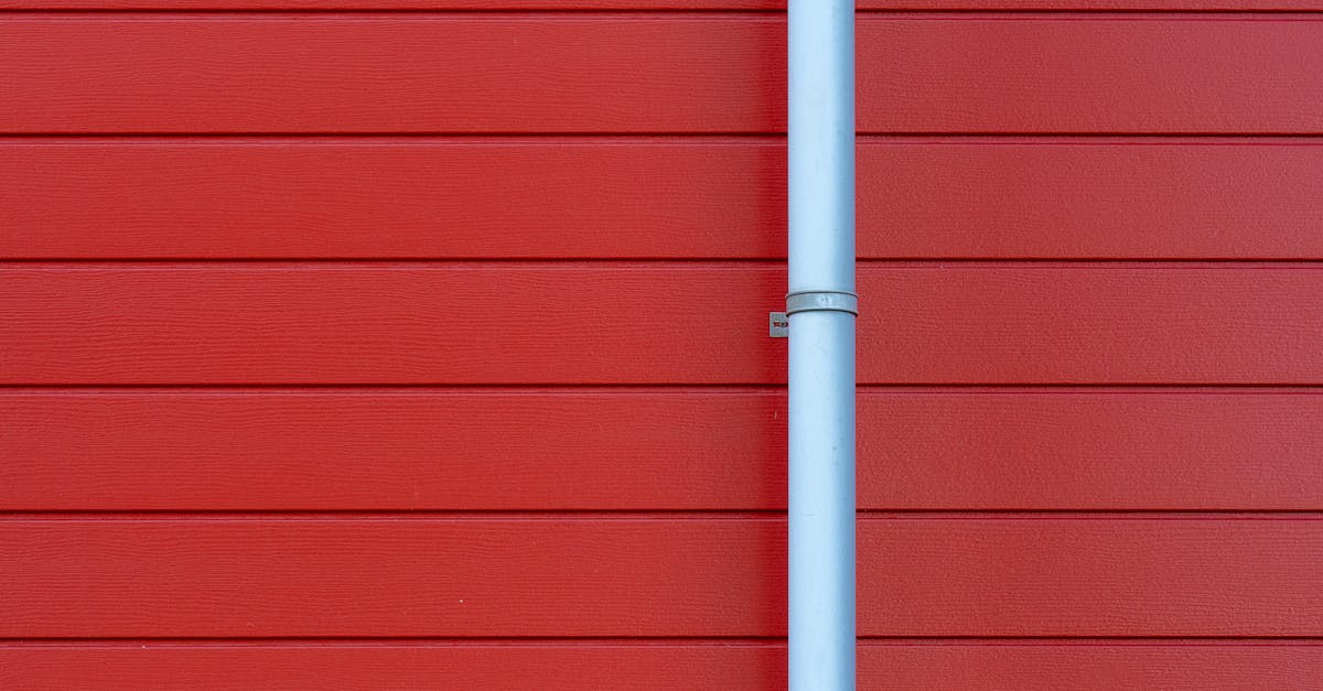 Assessing the Qualifications of Gutter Cleaning Professionals in Sydney