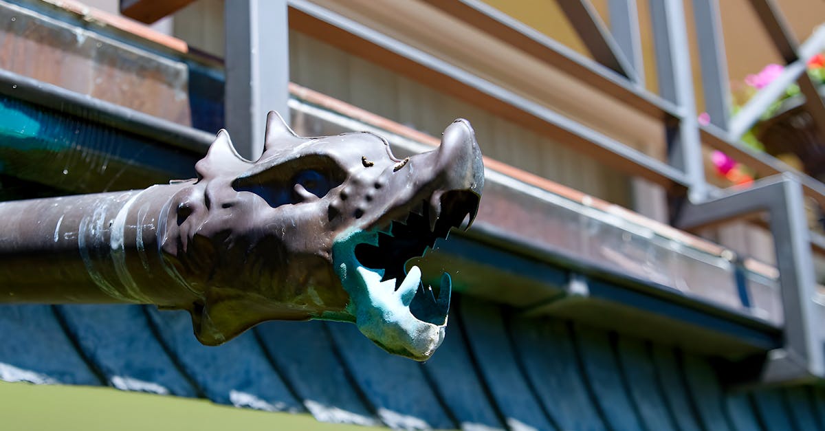 Comparing Gutter Cleaning Packages: What You Need to Know