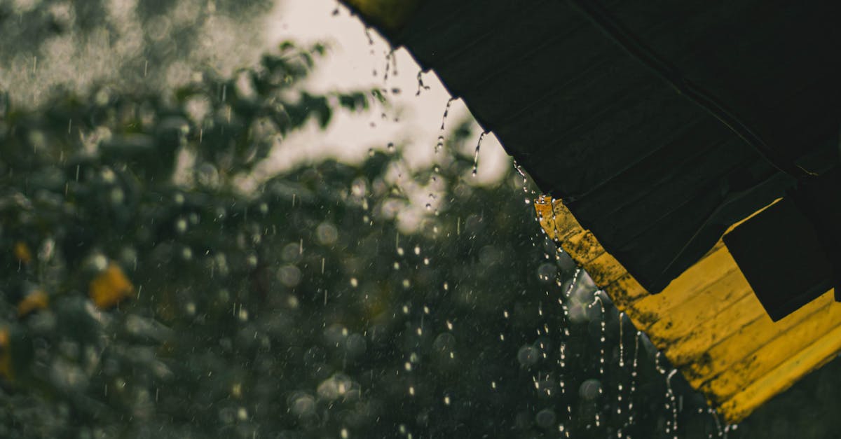 Comparing Hourly Rates vs Fixed Fees for Gutter Cleaning