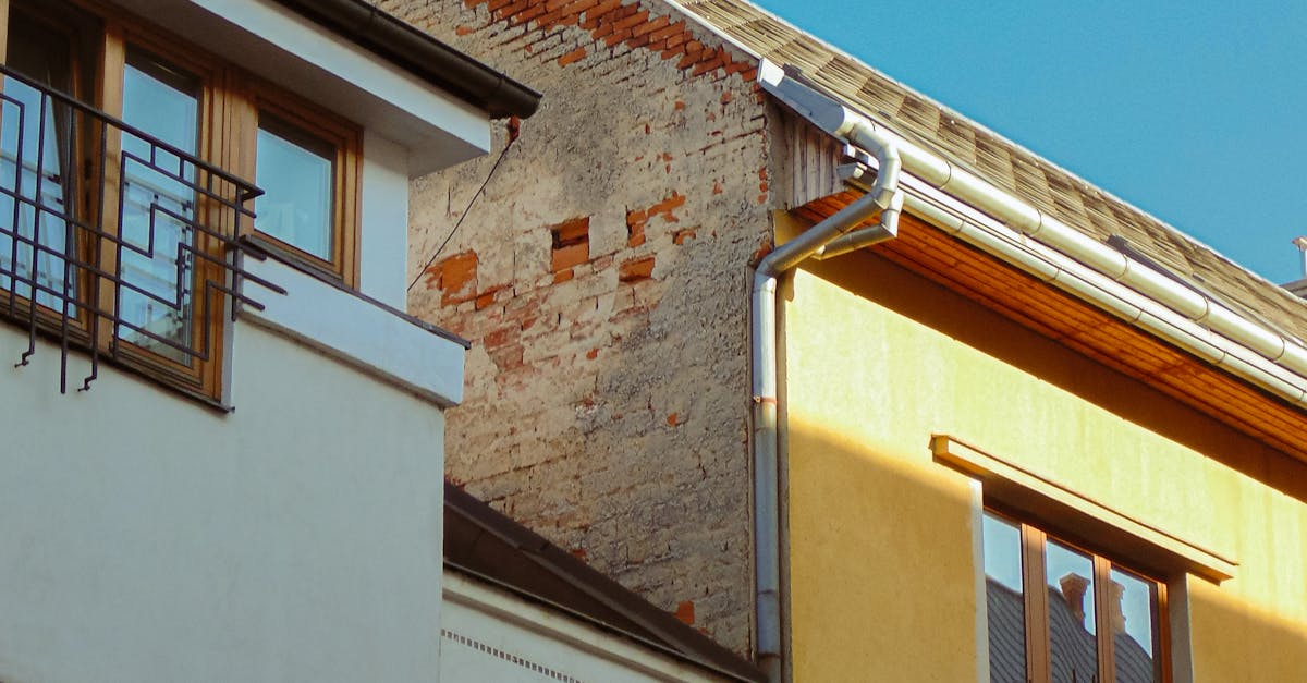 Cost-Benefit Analysis of Professional Gutter Cleaning Services