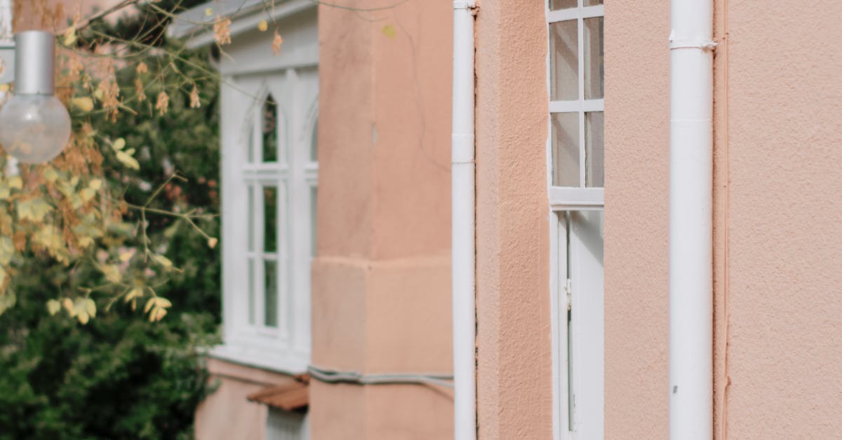 DIY Gutter Cleaning: Using Eco-Friendly Techniques in Sydney
