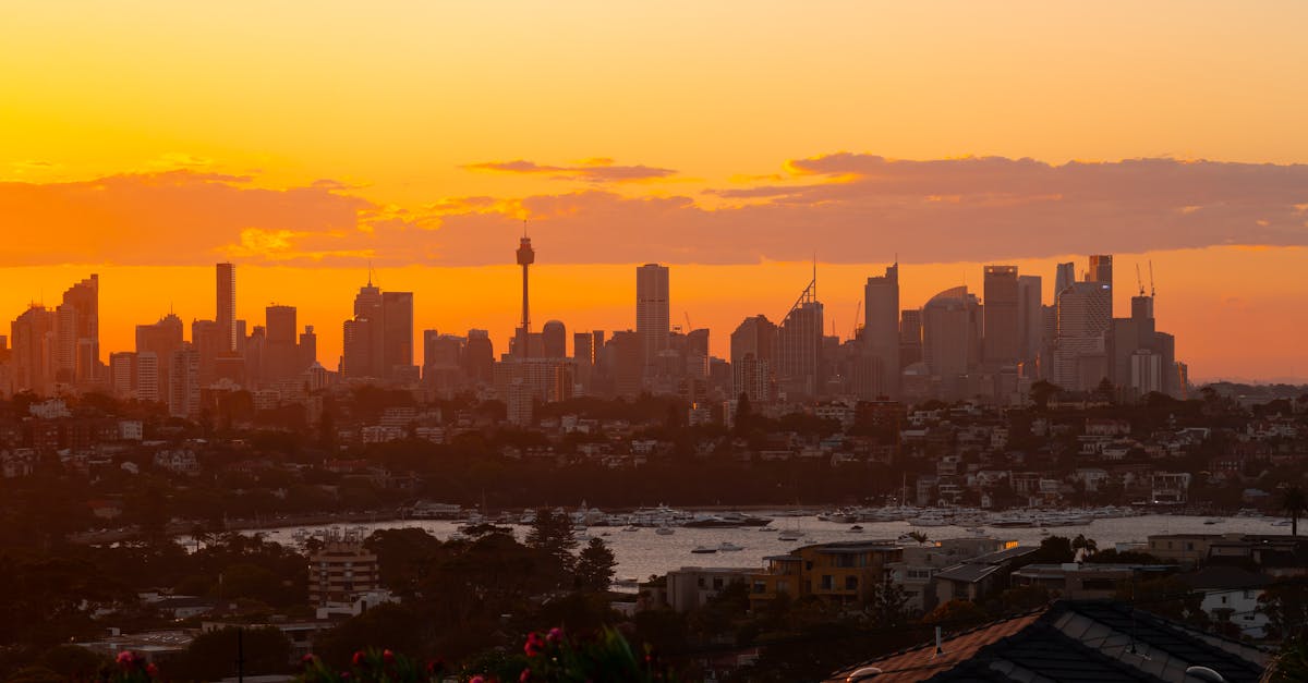 Ensuring Compliance: What to Know About Gutter Cleaning Certifications