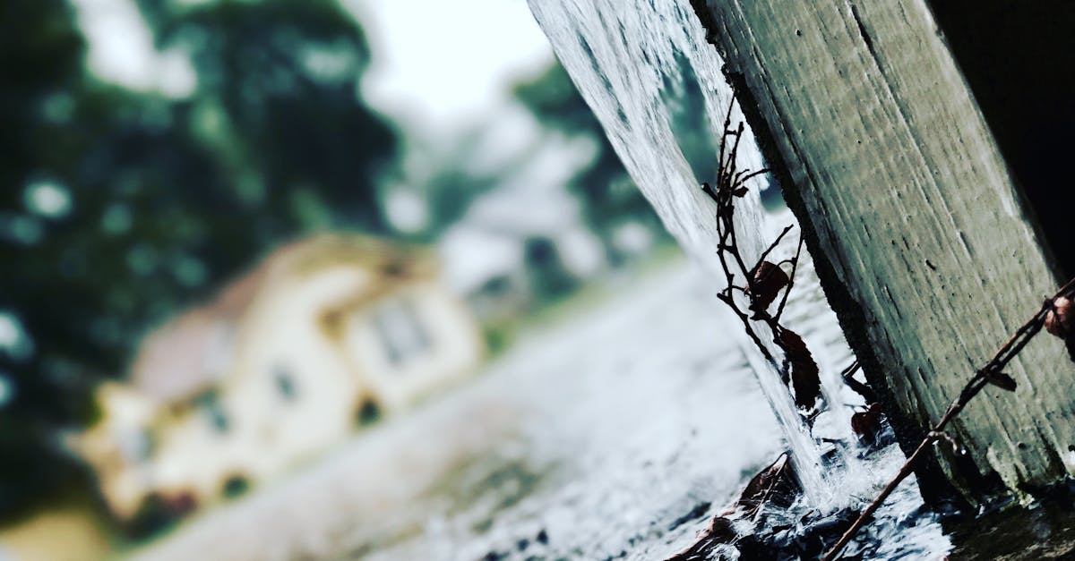Ensuring Home Safety Through Regular Gutter Maintenance