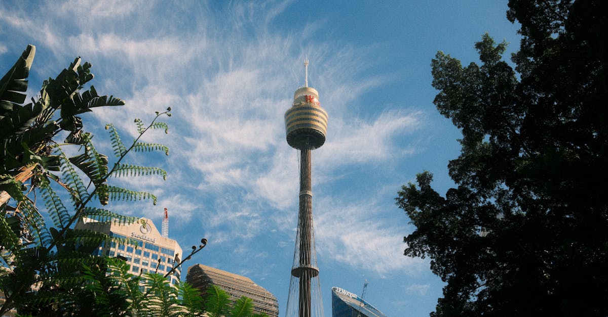 Ensuring Your Gutters Shine: Tips for Enhancing Curb Appeal