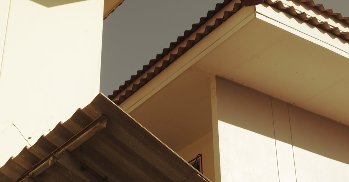 Evaluating the Track Record of Gutter Cleaning Companies in Sydney