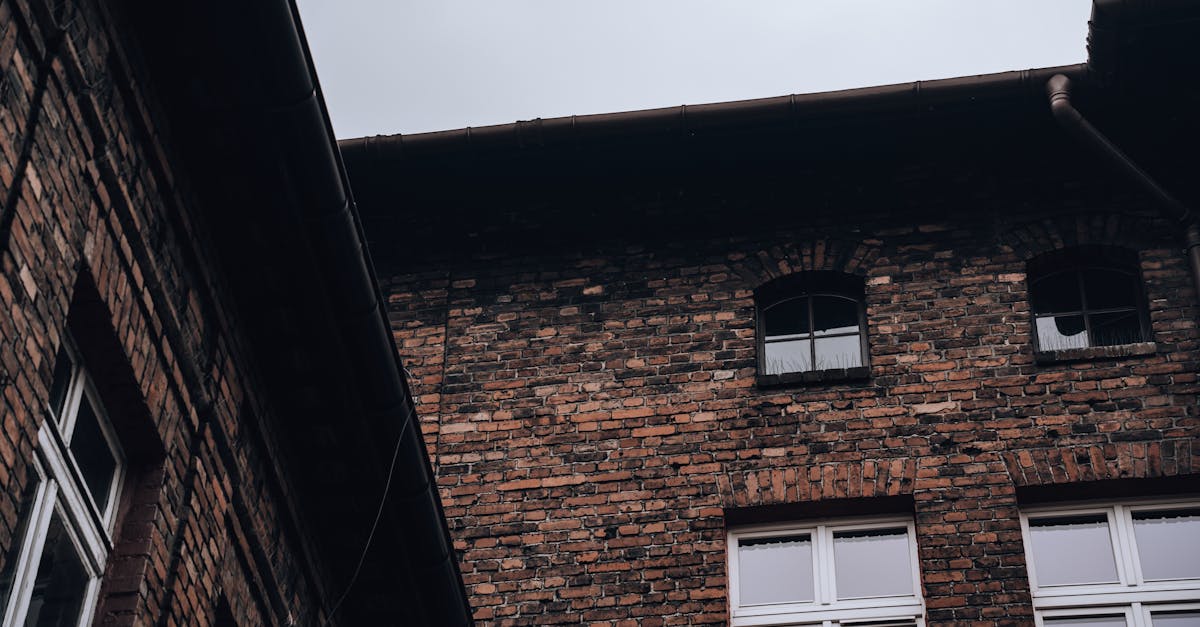 Factors to Consider When Comparing Gutter Cleaning Offers