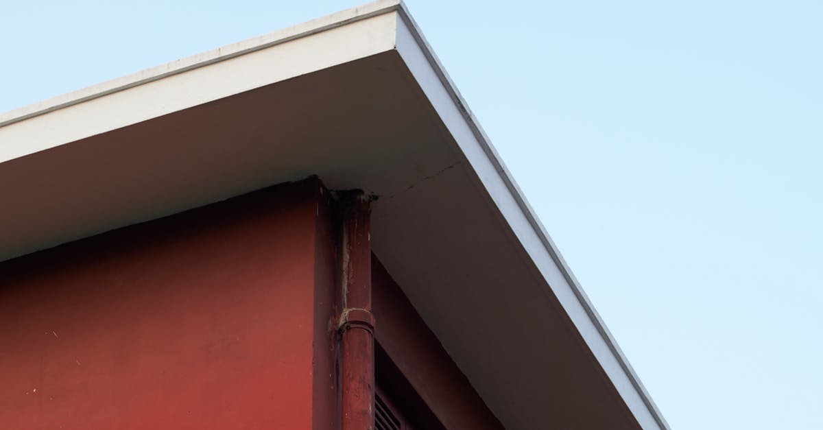 First Impressions Matter: Gutter Cleaning for Attractive Exteriors
