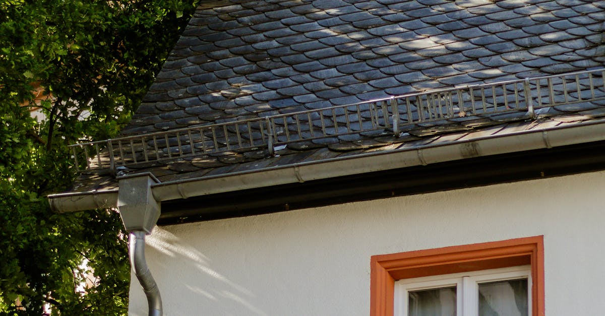 Importance of Genuine Customer Feedback in Choosing Gutter Cleaning Services