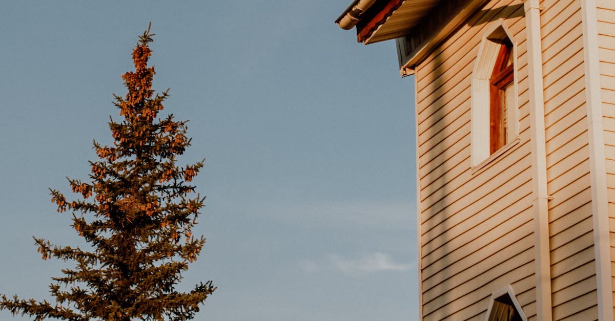 Key Questions to Ask Before Hiring a Gutter Cleaning Service Based on Reviews