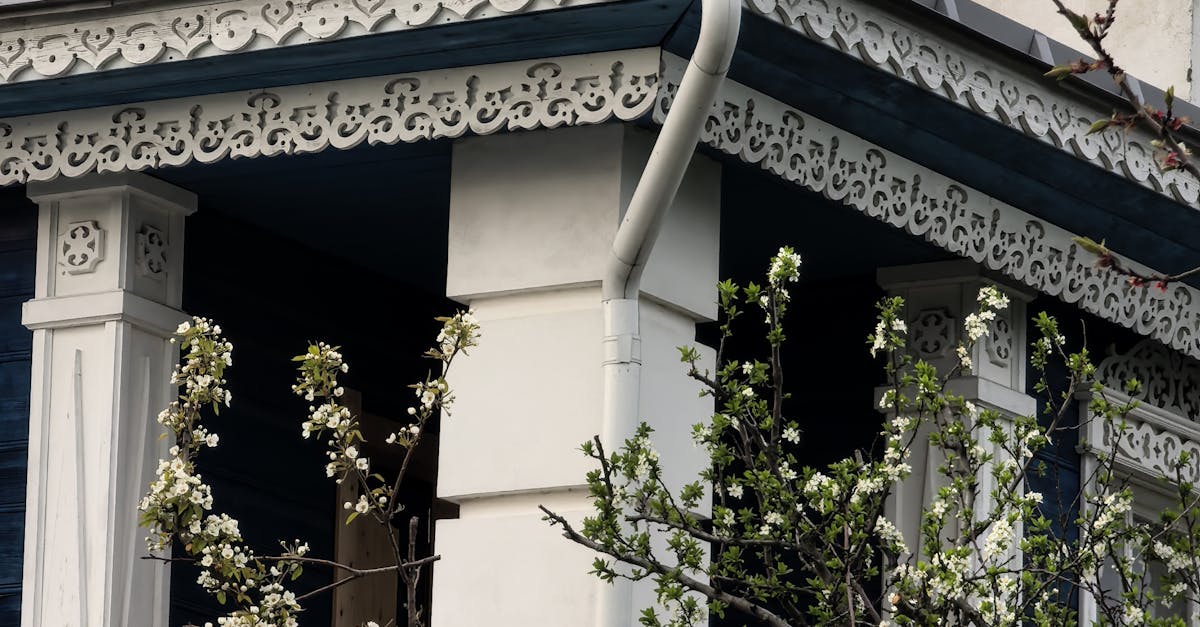 Preparing Your Home for Manual Gutter Cleaning