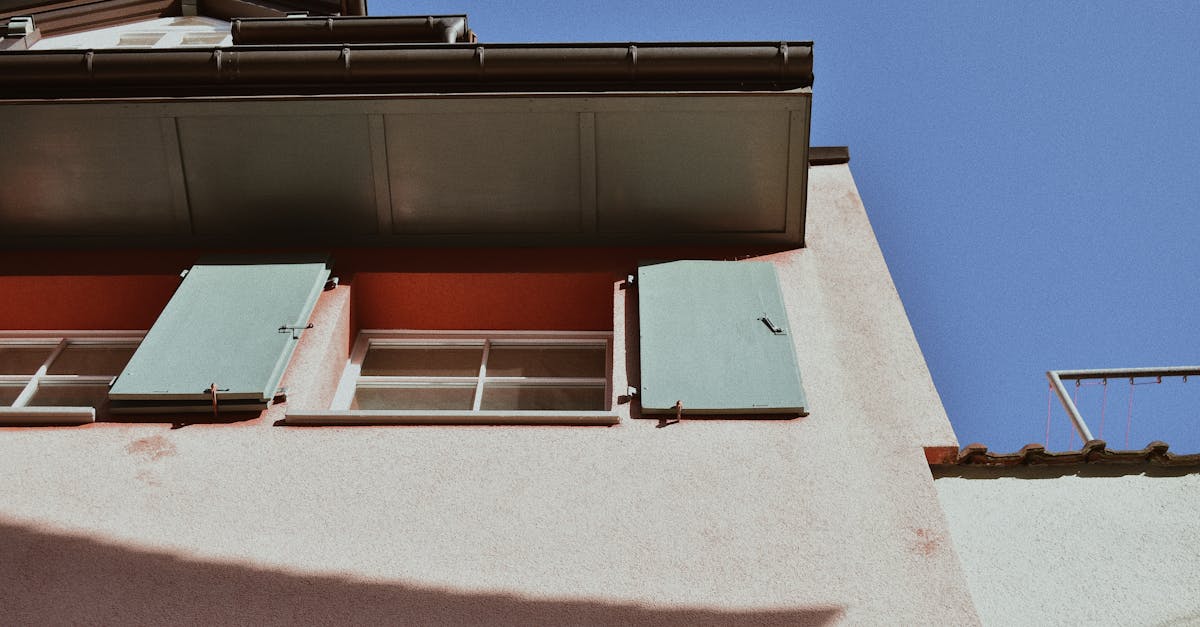 Safe Practices for Gutter Cleaning That Reduce Pest Problems