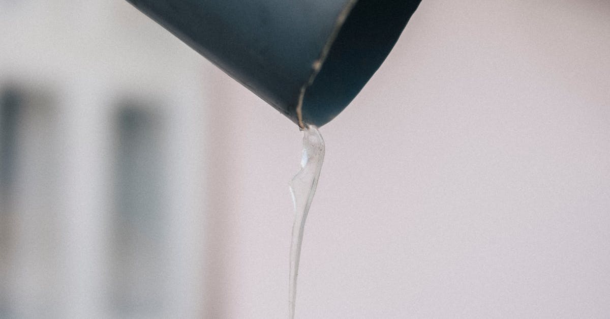 The Role of Clean Gutters in Minimising Ant Infestations