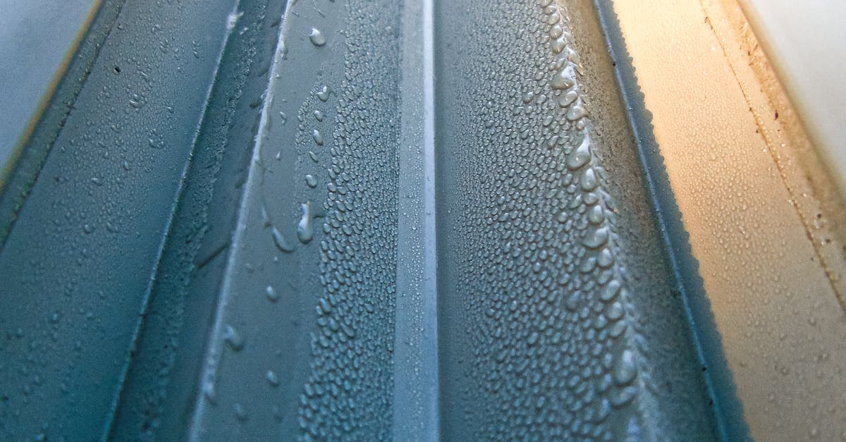 Top Natural Ingredients for Effective Gutter Cleaning